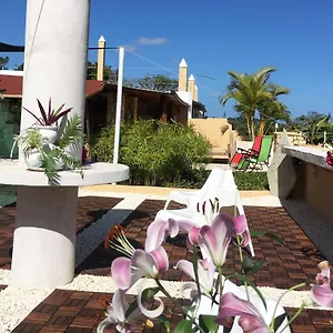 **** Hotel Boutique République dominicaine